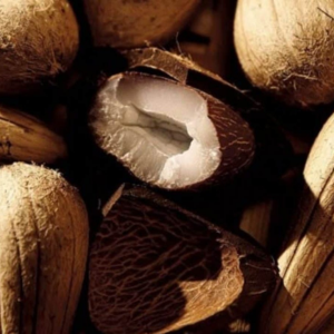 Manteiga de Murumuru - Horiginee