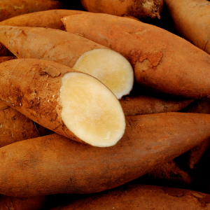 Mel da Batata Yacon - Horiginee Vegan